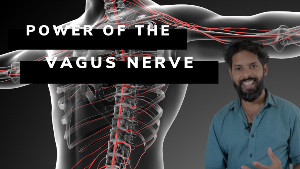 7 ways to stimulate the power of the vagus nerve