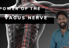 Kaushik Ram vagus nerve, nervous system training, breathing exercise